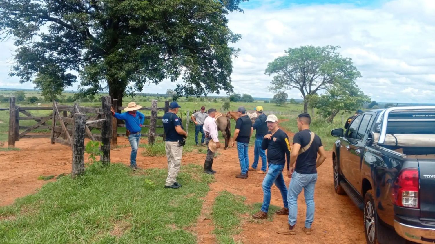 Roban 21 toros Nelore en un establecimiento rural de Yby Ya’u