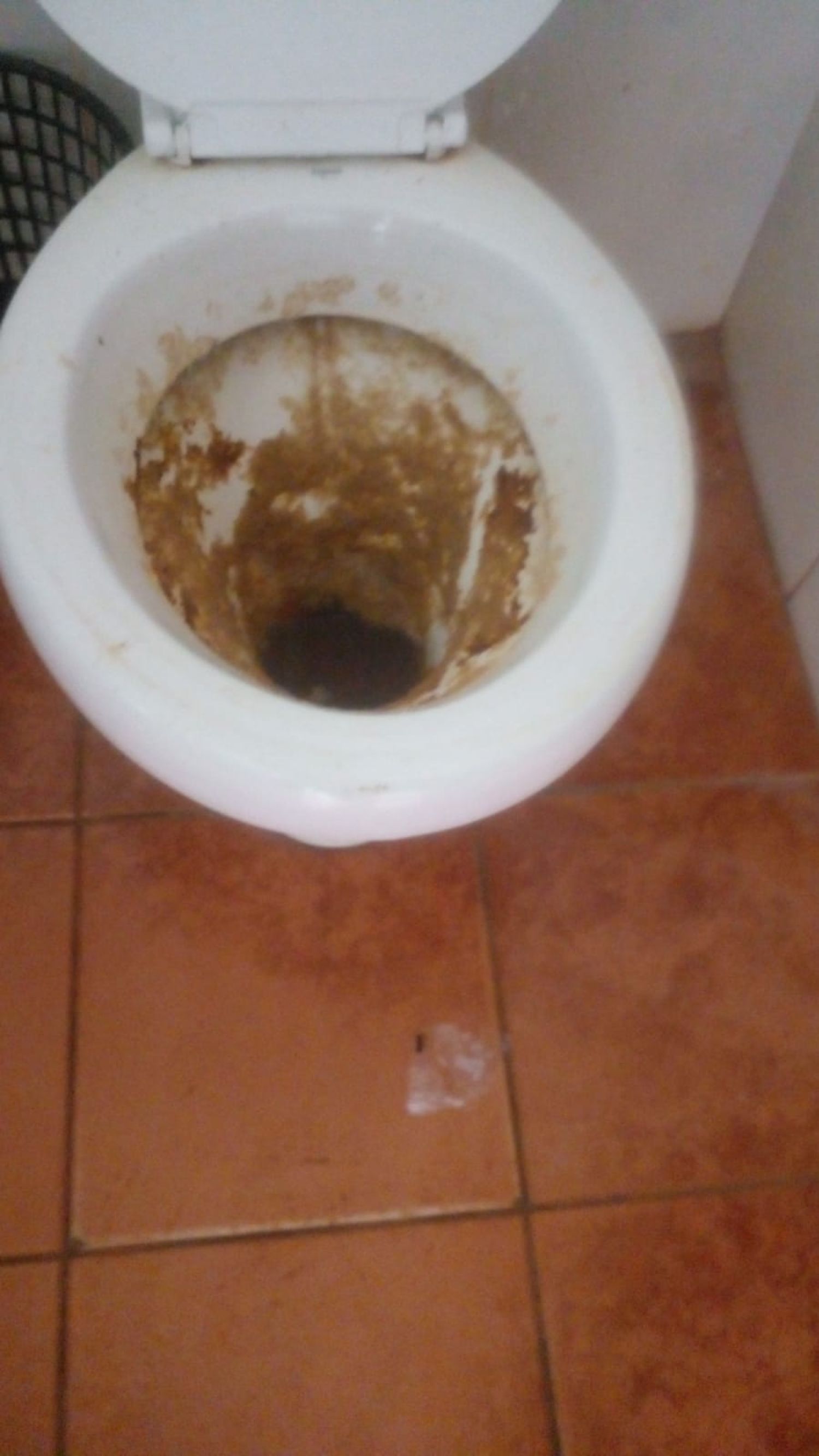 Padres de familia denuncian mal estado de sanitarios en escuela de Pedro Juan