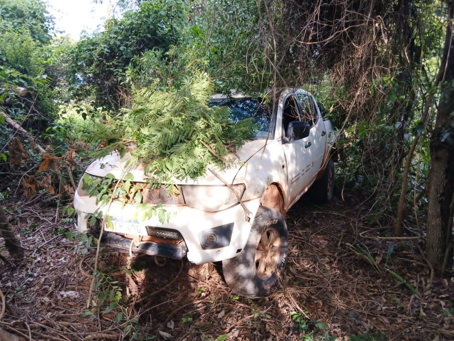 Incautan camioneta cargada con marihuana tras persecución en Yby Ya’u