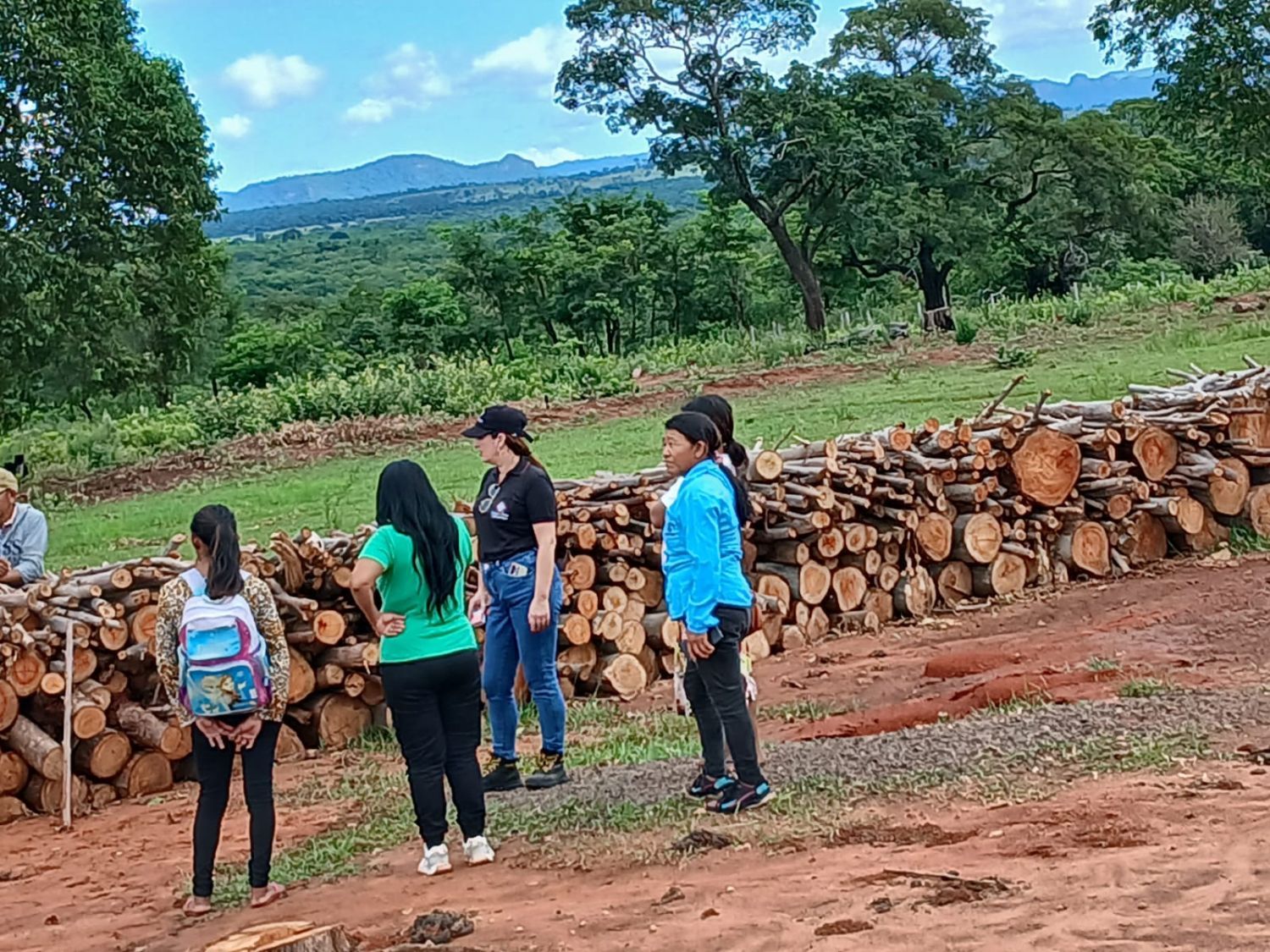 Confirman tala selectiva de árboles nativos en comunidad indígena de Cerro Corá